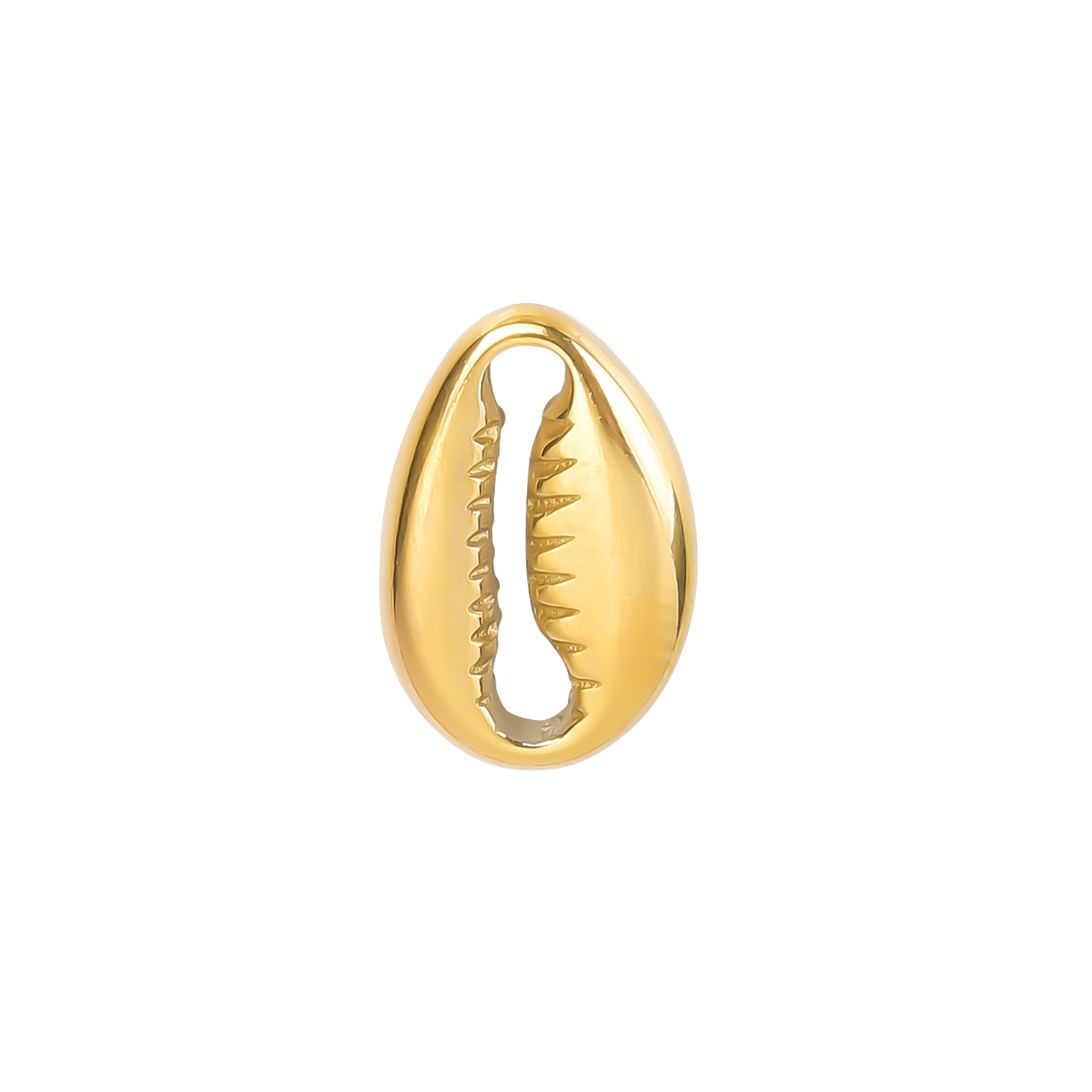 Mini Cowrie Shell Charm