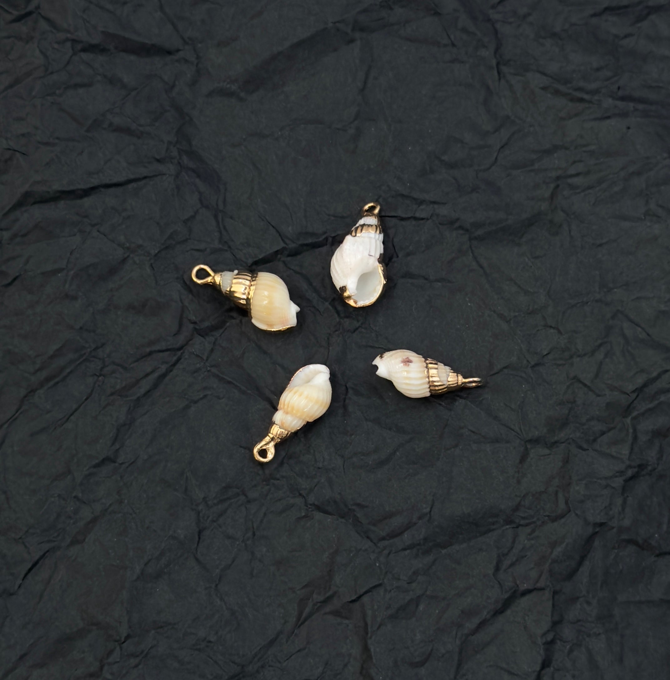 Cone Sea Shell Charm