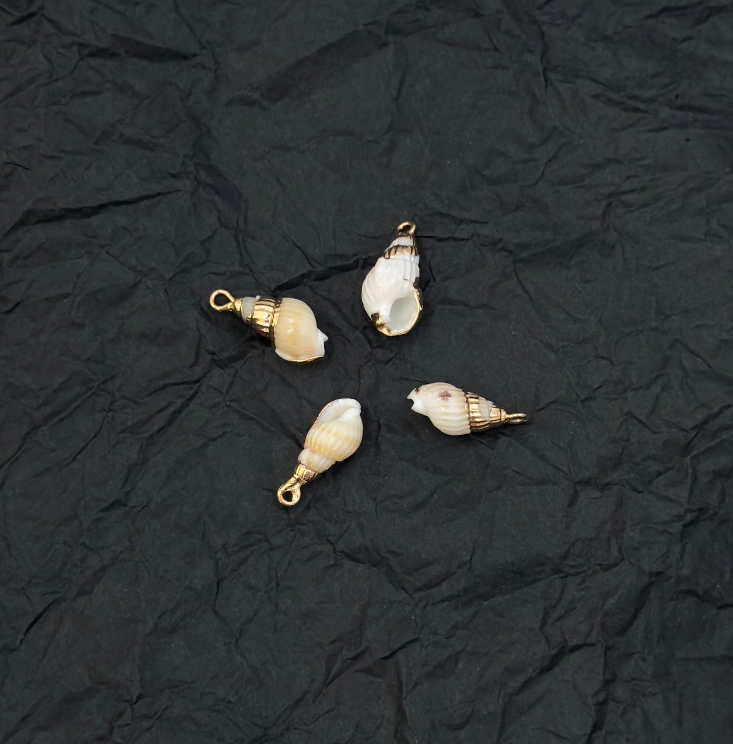 Cone Sea Shell Charm