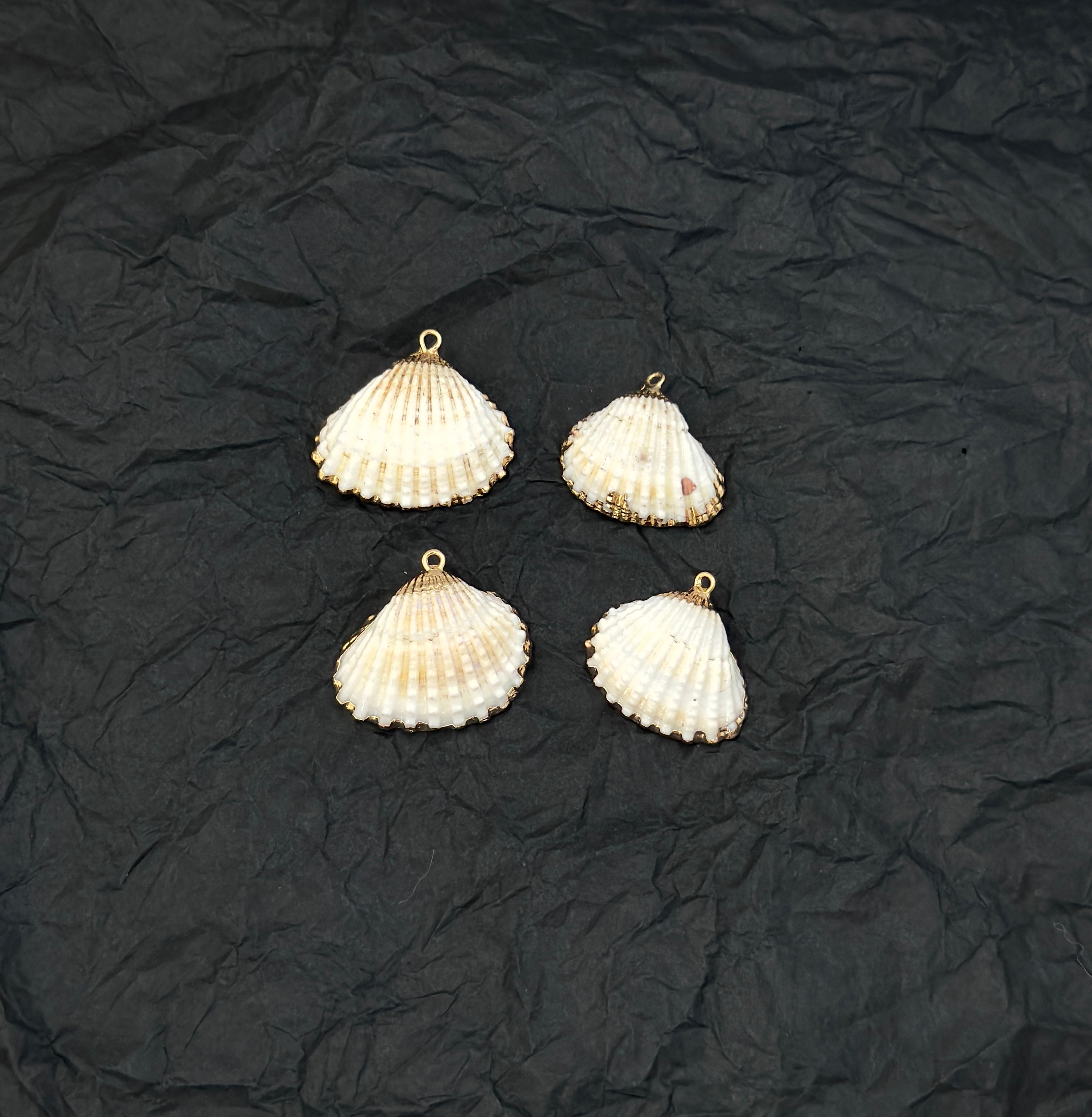 Calico Shell Charm