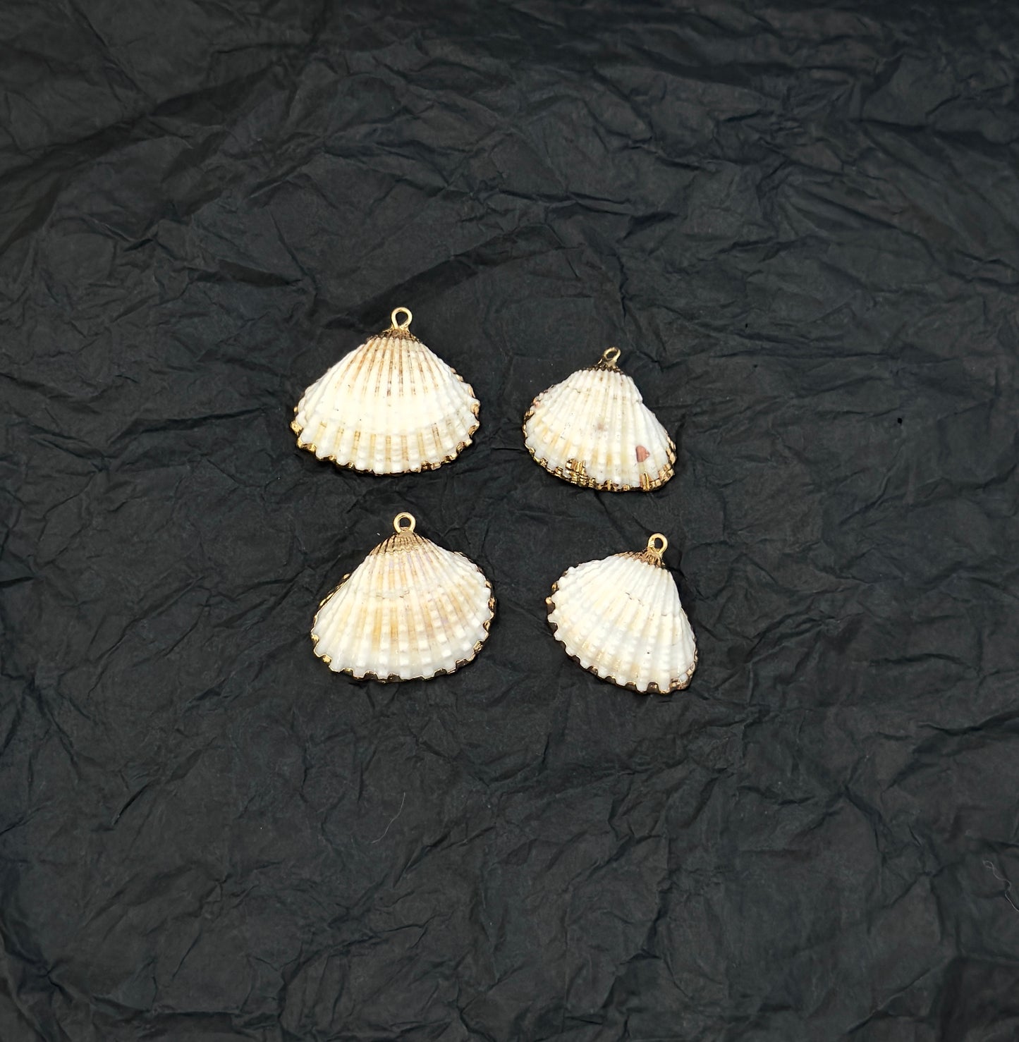 Calico Shell Charm