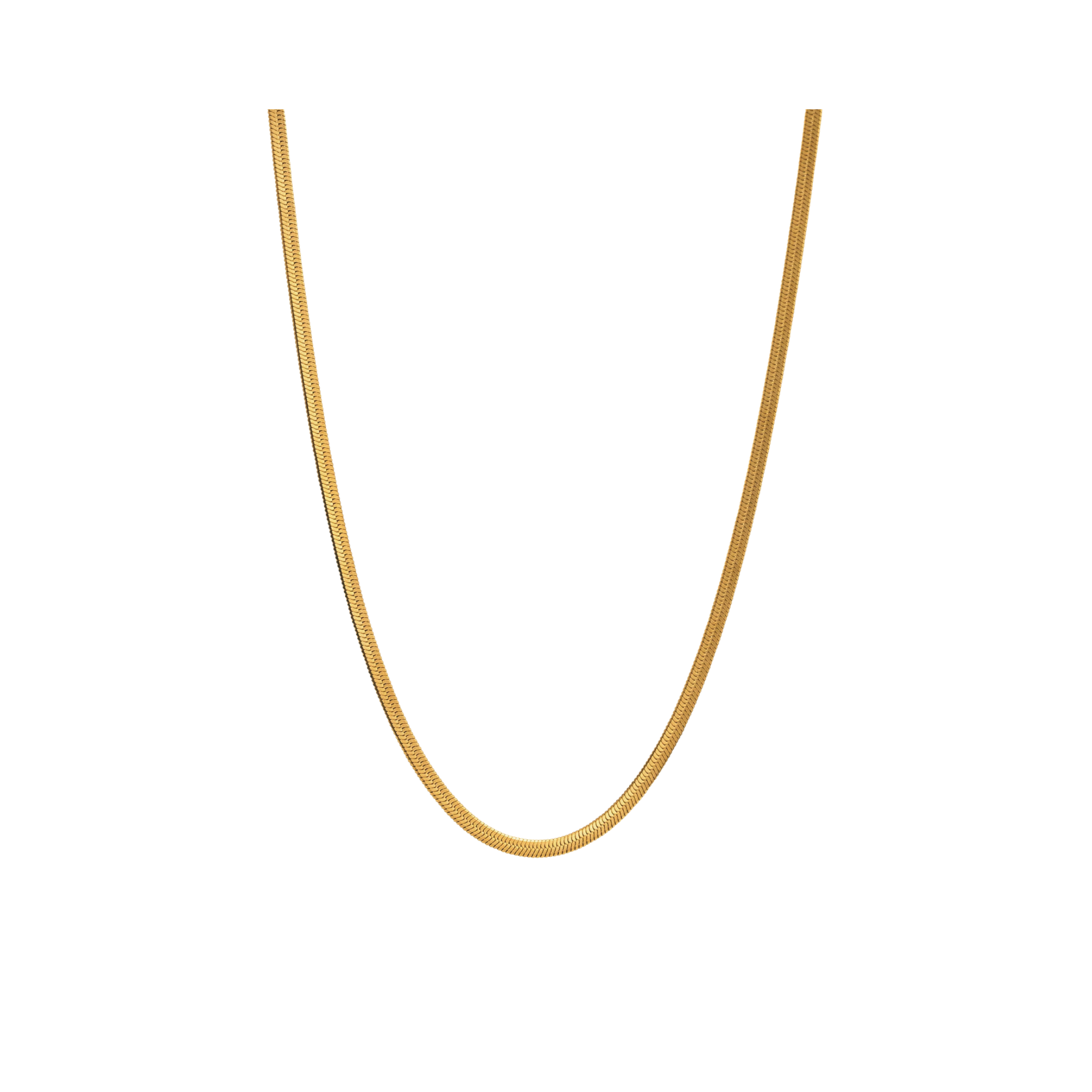 Medusa 2mm Golden Necklace
