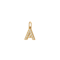 Initial Charm