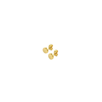 Nimbus Golden Stud
