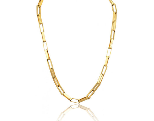 Selena Golden Link Necklace