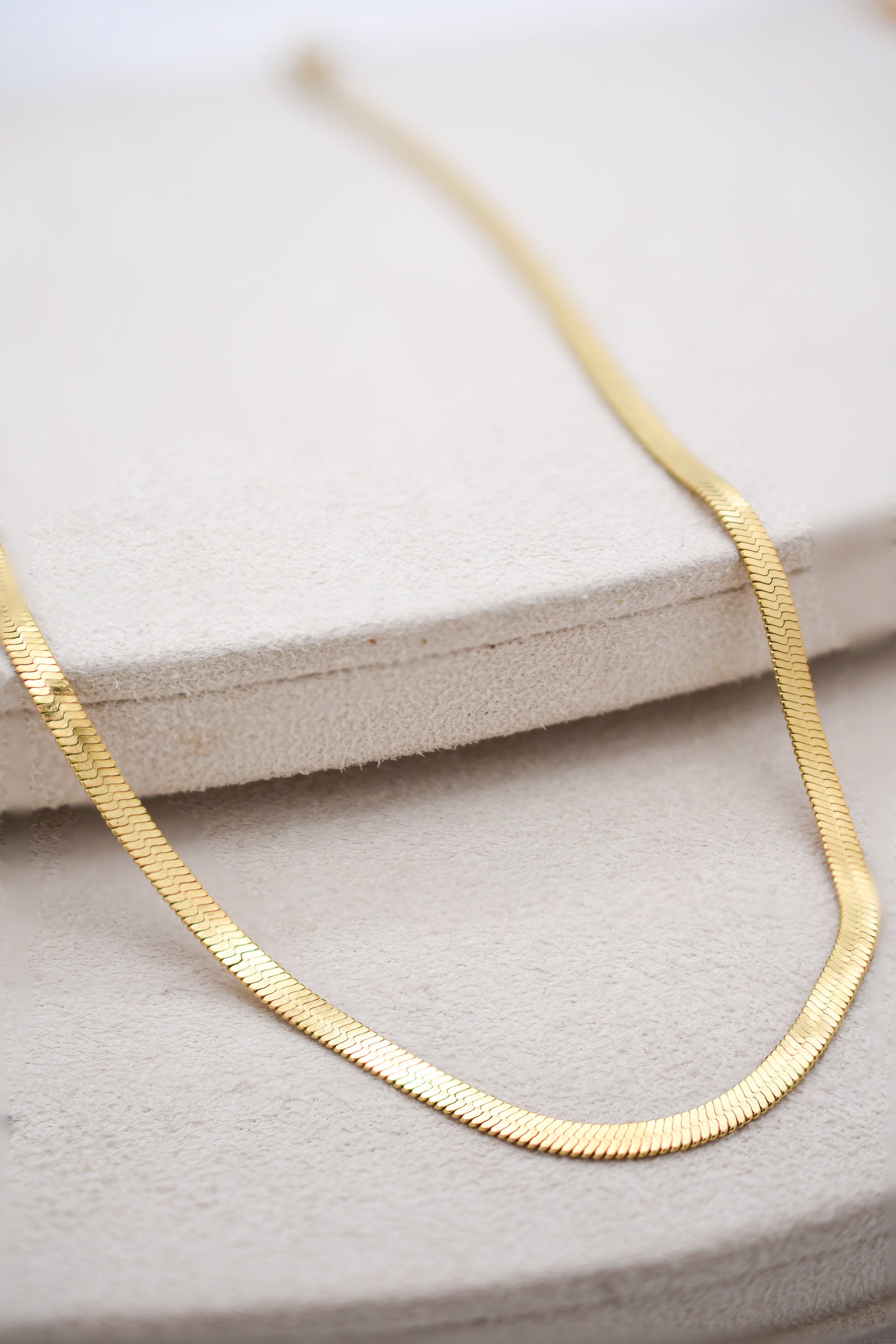 Medusa 2mm Golden Necklace - aolani jewellery