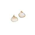Calico Shell Charm