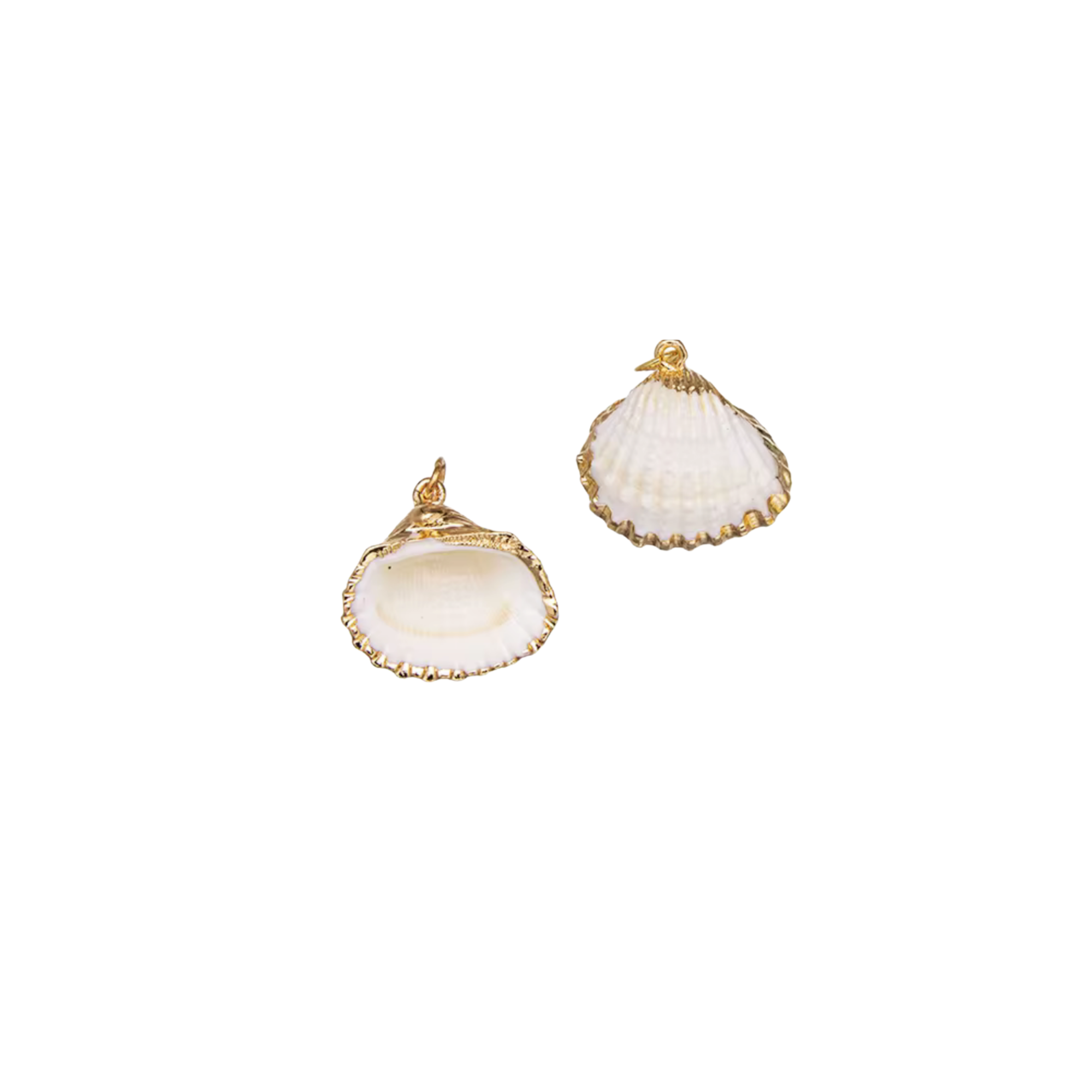 Calico Shell Charm