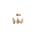 Cone Sea Shell Charm
