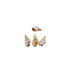 Cone Sea Shell Charm